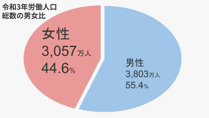 労働人口総数の男女比グラフ